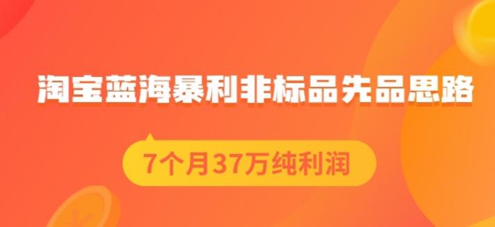 盗坤淘宝蓝海暴利非标品先品思路，7个月37万纯利润，压箱干货分享！【付费文章】-徐哥轻创网