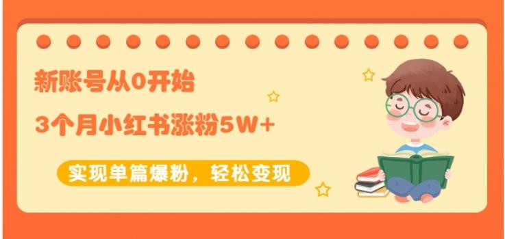 新账号从0开始3个月小红书涨粉5W 实现单篇爆粉，轻松变现（干货）-徐哥轻创网