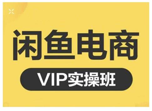 闲鱼电商零基础入门到进阶VIP实战课程，帮助你掌握闲鱼电商所需的各项技能-徐哥轻创网