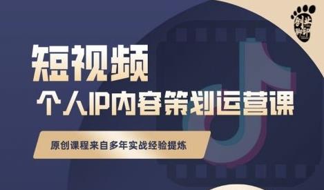 抖音短视频个人ip内容策划实操课，真正做到普通人也能实行落地-徐哥轻创网