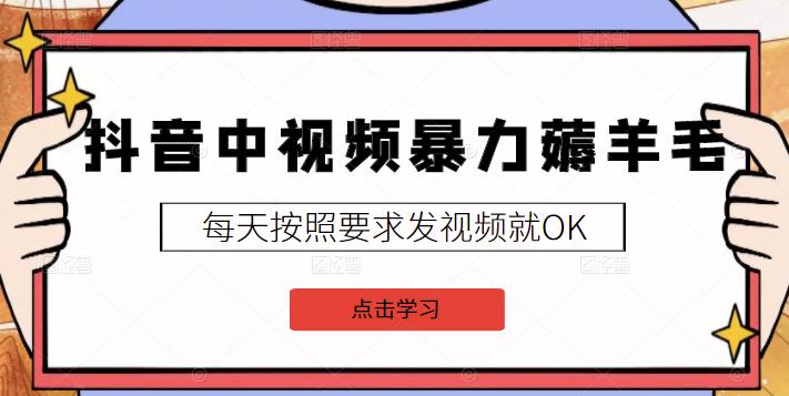 2022抖音中视频暴力薅羊毛白嫖项目：新号每天20块，老号几天几百块，可多号-徐哥轻创网