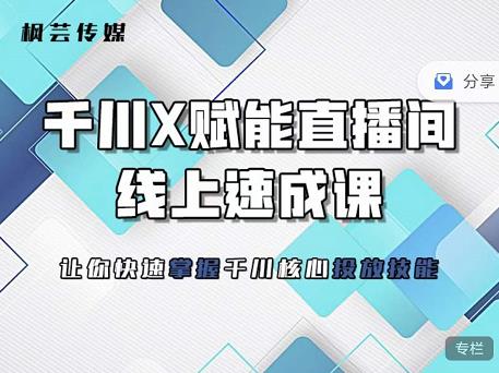 枫芸传媒-线上千川提升课，提升千川认知，提升千川投放效果-徐哥轻创网