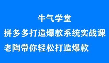 牛气学堂拼多多打造爆款系统实战课，老陶带你轻松打造爆款-徐哥轻创网