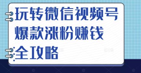 玩转微信视频号爆款涨粉赚钱全攻略，让你快速抓住流量风口，收获红利财富-徐哥轻创网