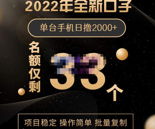 2022年全新口子，手机批量搬砖玩法，一部手机日撸2000-徐哥轻创网