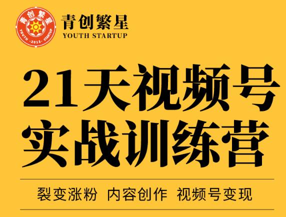 张萌21天视频号实战训练营，裂变涨粉、内容创作、视频号变现 价值298元-徐哥轻创网