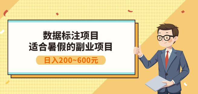 副业赚钱：人工智能数据标注项目，简单易上手，小白也能日入200-徐哥轻创网