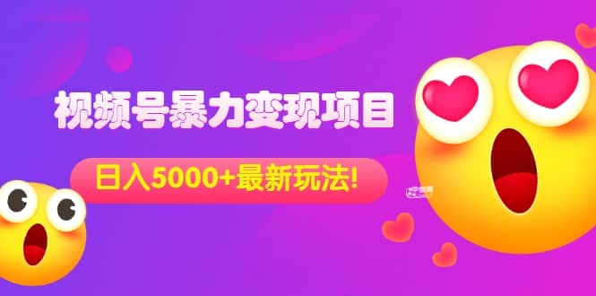 外面收费699的视频号暴力变现项目，日入5000 ，简单易操作当天见效果-徐哥轻创网