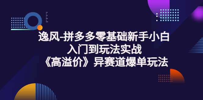 拼多多零基础新手小白入门到玩法实战《高溢价》异赛道爆单玩法实操课-徐哥轻创网