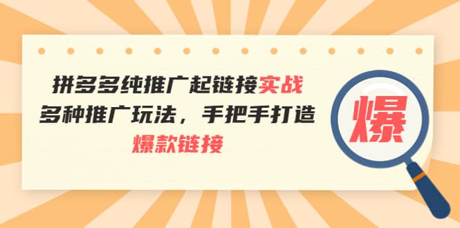 拼多多纯推广起链接实战：多种推广玩法，手把手打造爆款链接-徐哥轻创网