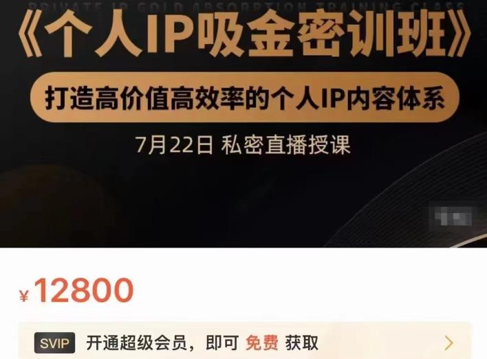 个人IP吸金密训班，打造高价值高效率的个人IP内容体系（价值12800元）-徐哥轻创网