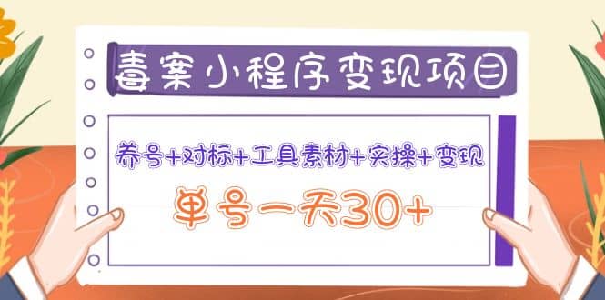 毒案小程序变现项目：养号 对标 工具素材 实操 变现-徐哥轻创网