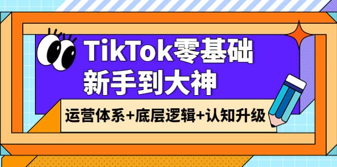 TikTok零基础新手到大神：运营体系 底层逻辑 认知升级（9节系列课）-徐哥轻创网