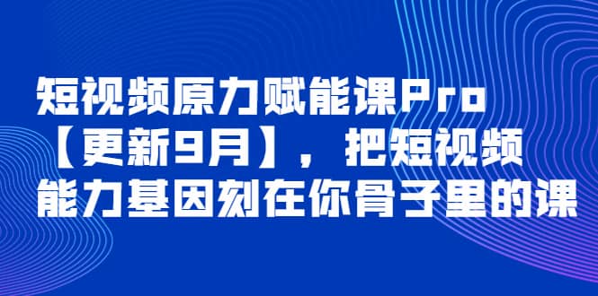 短视频原力赋能课Pro【更新9月】，把短视频能力基因刻在你骨子里的课-徐哥轻创网