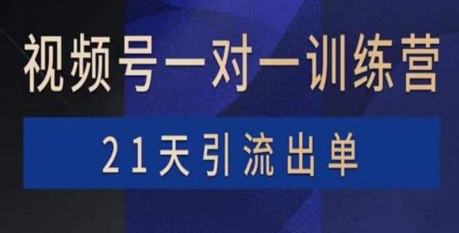 视频号训练营：带货，涨粉，直播，游戏，四大变现新方向，21天引流出单-徐哥轻创网