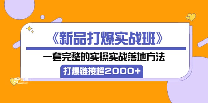 《新品打爆实战班》一套完整的实操实战落地方法，打爆链接超2000 （38节课)-徐哥轻创网