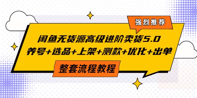 闲鱼无货源高级进阶卖货5.0，养号 选品 上架 测款 优化 出单整套流程教程-徐哥轻创网