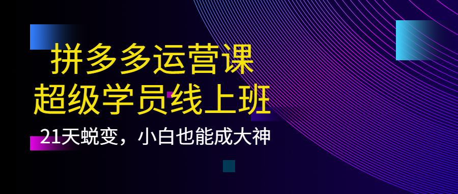 拼多多运营课：超级学员线上班，21天蜕变，小白也能成大神-徐哥轻创网