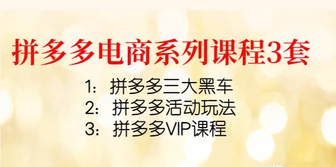 拼多多电商系列课程3套：拼多多三大黑车 拼多多活动玩法 拼多多VIP课程-徐哥轻创网