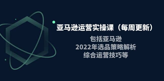 亚马逊运营实操课（每周更新）包括亚马逊2022选品策略解析，综合运营技巧等-徐哥轻创网