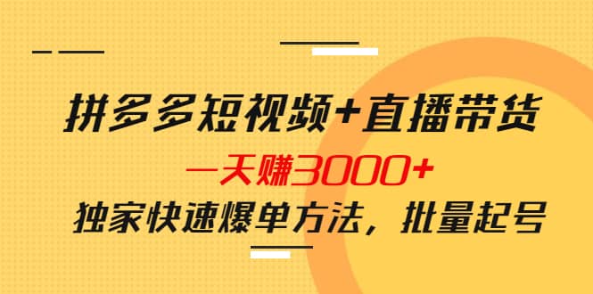 拼多多短视频 直播带货，一天赚3000 独家快速爆单方法，批量起号-徐哥轻创网