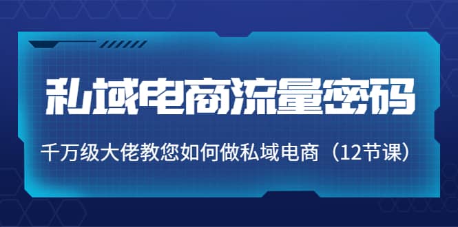 私域电商流量密码：千万级大佬教您如何做私域电商（12节课）-徐哥轻创网