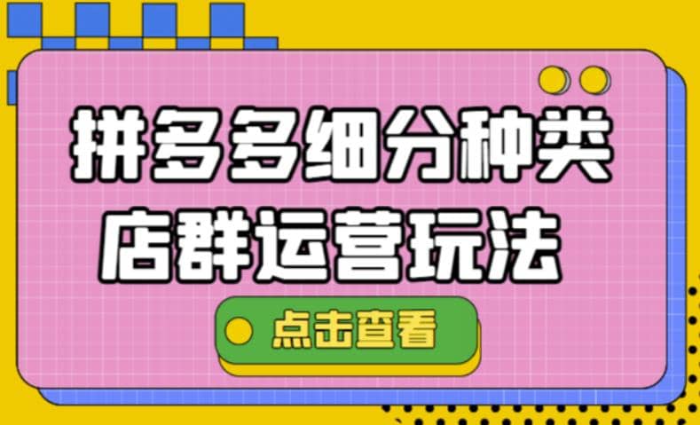 拼多多细分种类店群运营玩法3.0，11月最新玩法，小白也可以操作-徐哥轻创网