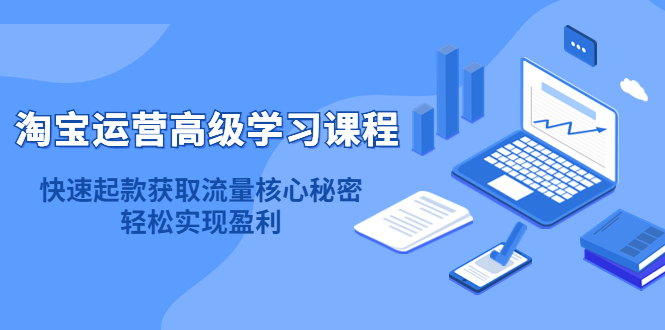 淘宝运营高级学习课程：快速获取流量核心秘密，轻松实现盈利！-徐哥轻创网