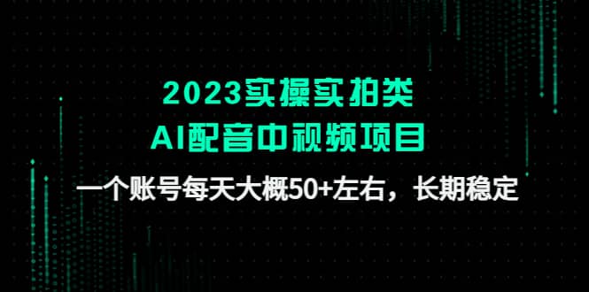 2023实操实拍类AI配音中视频项目，一个账号每天大概50 左右，长期稳定-徐哥轻创网