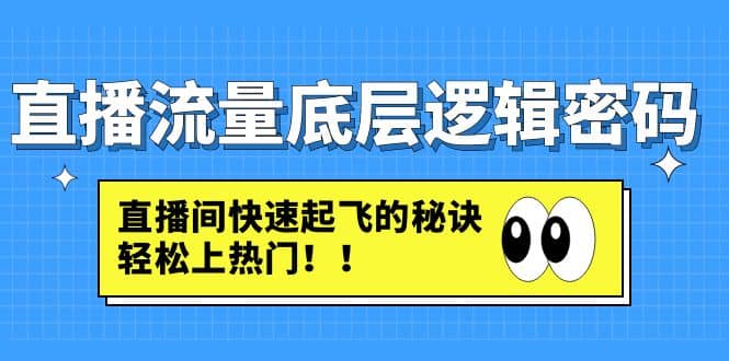 直播流量底层逻辑密码：直播间快速起飞的秘诀，轻松上热门-徐哥轻创网