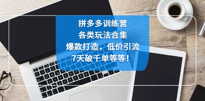 拼多多训练营：各玩法合集，爆款打造，低价引流，7天破千单等等-徐哥轻创网