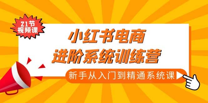 小红书电商进阶系统训练营：新手从入门到精通系统课（21节视频课）-徐哥轻创网