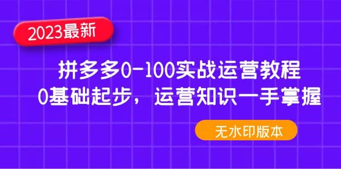 2023拼多多0-100实战运营教程，0基础起步，运营知识一手掌握（无水印）-徐哥轻创网