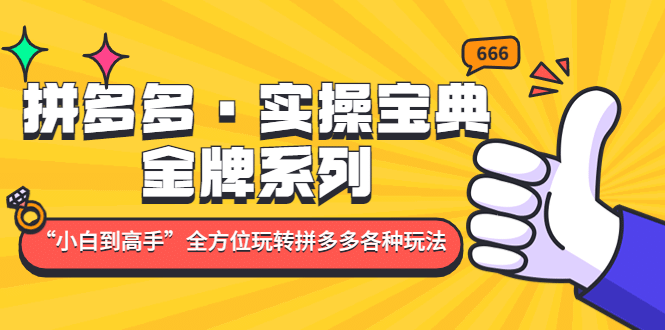 拼多多·实操宝典：金牌系列“小白到高手”带你全方位玩转拼多多各种玩法-徐哥轻创网