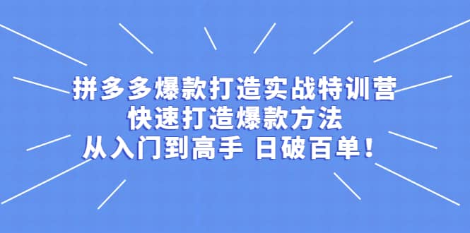 拼多多爆款打造实战特训营：快速打造爆款方法，从入门到高手 日破百单-徐哥轻创网