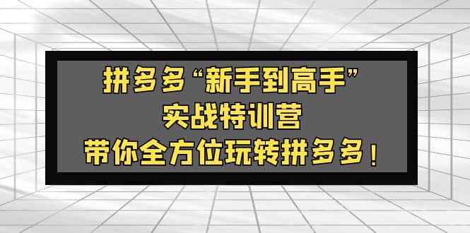 拼多多“新手到高手”实战特训营：带你全方位玩转拼多多-徐哥轻创网