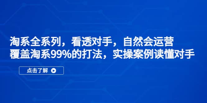 淘系全系列，看透对手，自然会运营，覆盖淘系99%·打法，实操案例读懂对手-徐哥轻创网