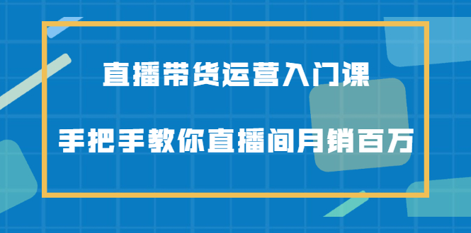 直播带货运营入门课，手把手教你直播间月销百万-徐哥轻创网