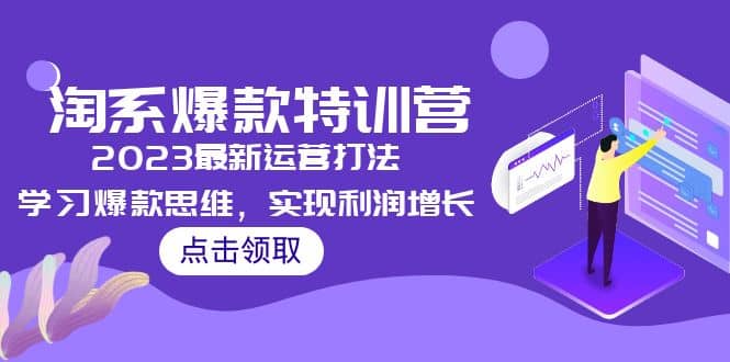 2023淘系爆款特训营，2023最新运营打法，学习爆款思维，实现利润增长-徐哥轻创网