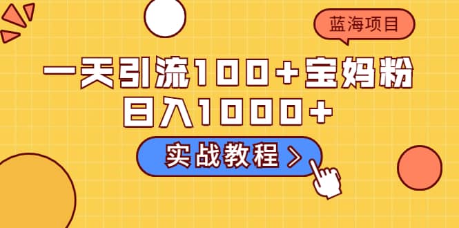 一天引流100 宝妈粉，日入1000 的蓝海项目（实战教程）-徐哥轻创网