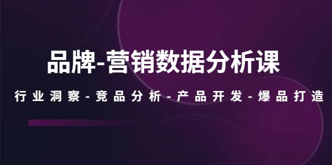 品牌-营销数据分析课，行业洞察-竞品分析-产品开发-爆品打造-徐哥轻创网