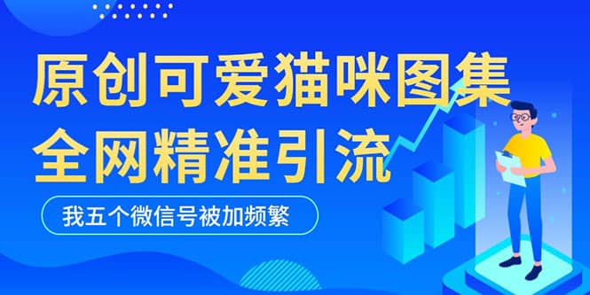 黑科技纯原创可爱猫咪图片，全网精准引流，实操5个VX号被加频繁-徐哥轻创网