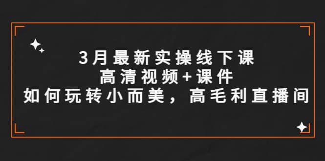 3月最新实操线下课高清视频 课件，如何玩转小而美，高毛利直播间-徐哥轻创网