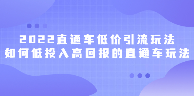 2022直通车低价引流玩法，教大家如何低投入高回报的直通车玩法-徐哥轻创网