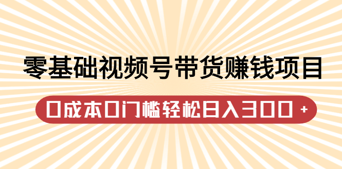 零基础视频号带货赚钱项目，0成本0门槛轻松日入300 【视频教程】-徐哥轻创网