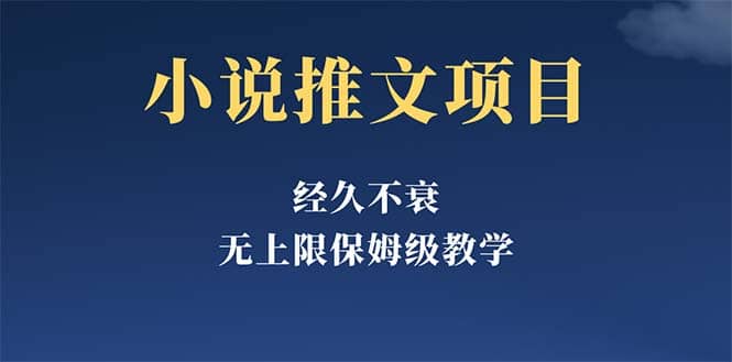 经久不衰的小说推文项目，单号月5-8k，保姆级教程，纯小白都能操作-徐哥轻创网