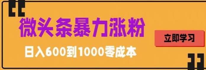 微头条暴力涨粉技巧搬运文案就能涨几万粉丝，简单0成本，日赚600-徐哥轻创网