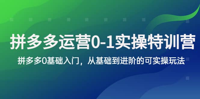 拼多多-运营0-1实操训练营，拼多多0基础入门，从基础到进阶的可实操玩法-徐哥轻创网