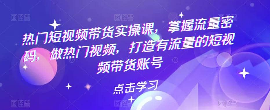 热门短视频带货实战 掌握流量密码 做热门视频 打造有流量的短视频带货账号-徐哥轻创网