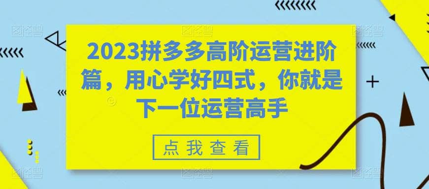 2023拼多多高阶运营进阶篇，用心学好四式，你就是下一位运营高手-徐哥轻创网